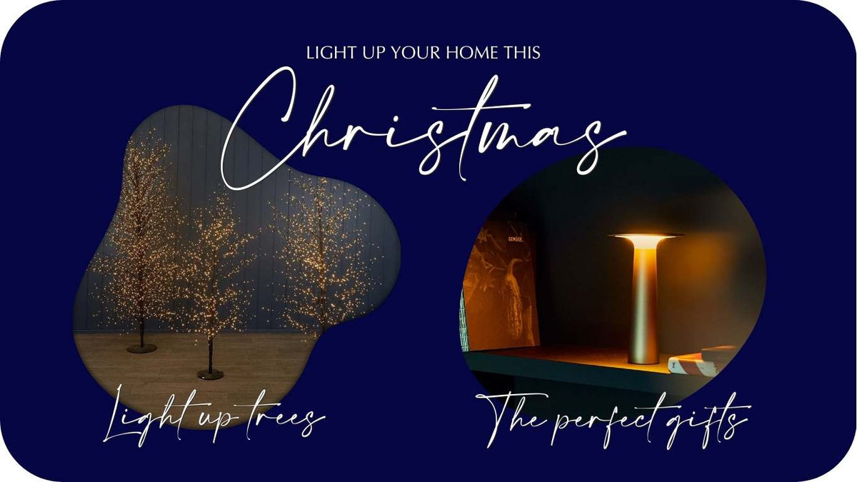 Festive display featuring light-up Christmas trees and stylish portable lights, perfect for creating a cosy and inviting holiday atmosphere.
