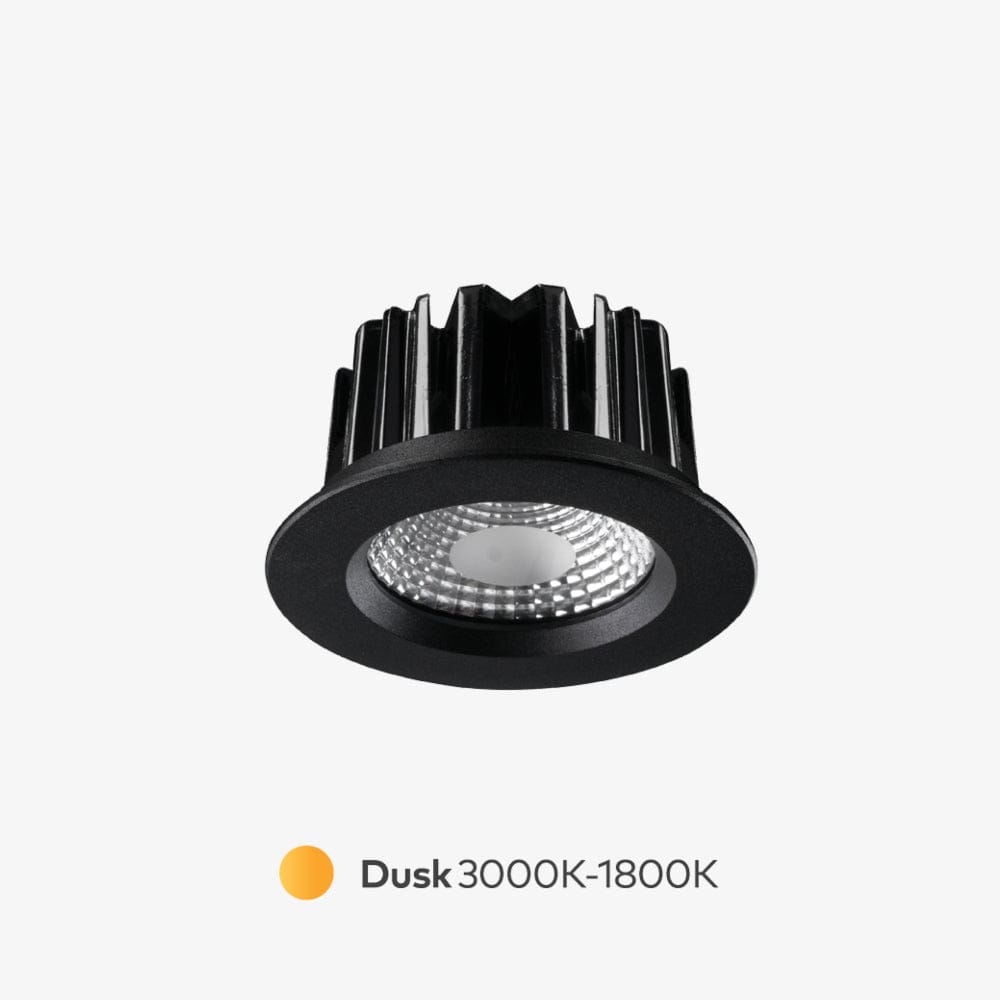 Recessed Apex Dusk Down Light