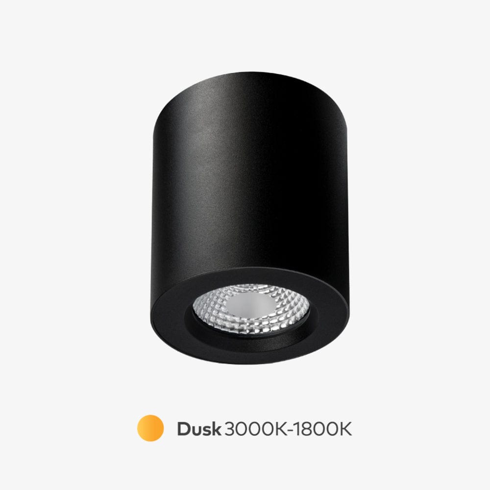 Surface Mounted Apex Dusk Surface Mounted Down Light
