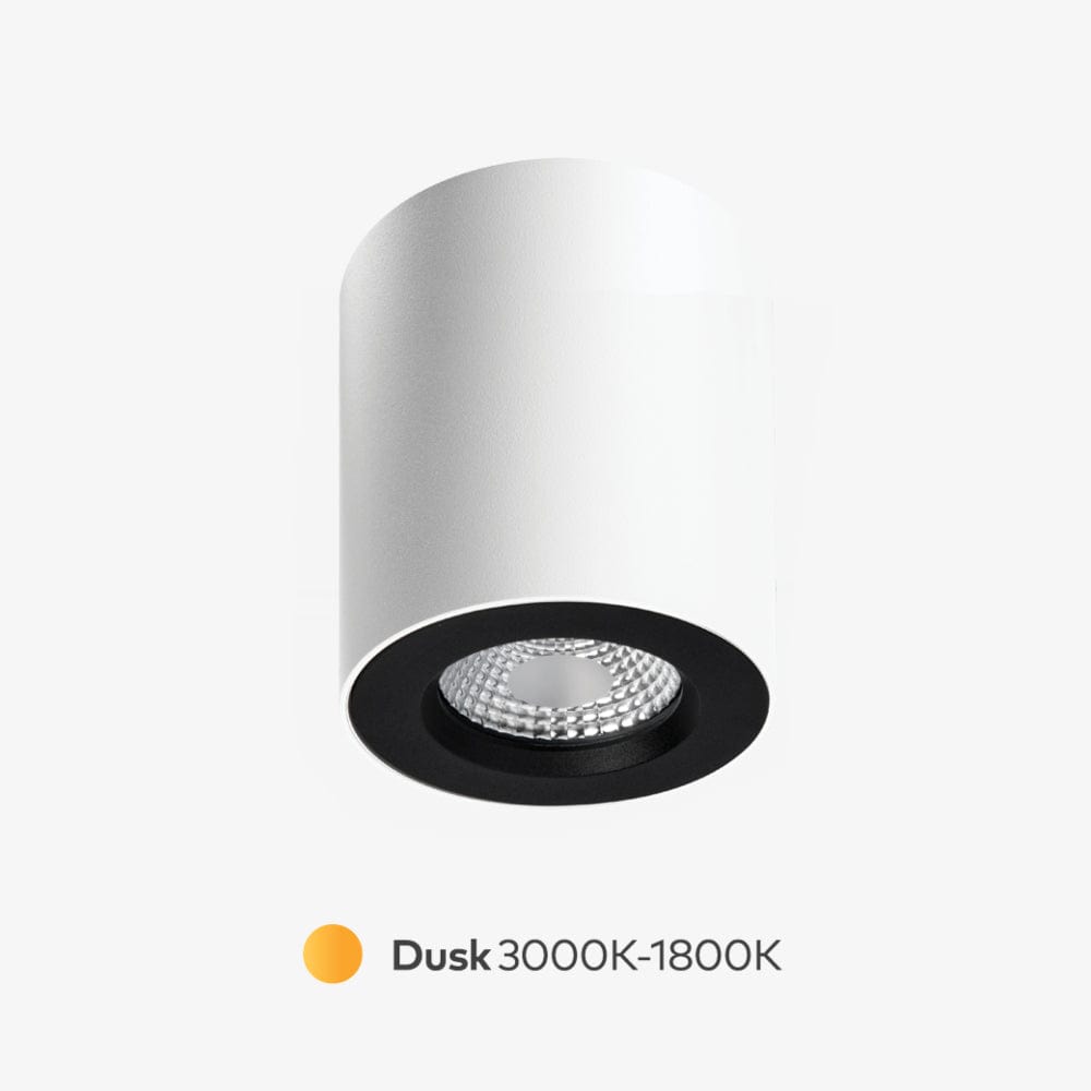 Surface Mounted Apex Dusk Surface Mounted Down Light