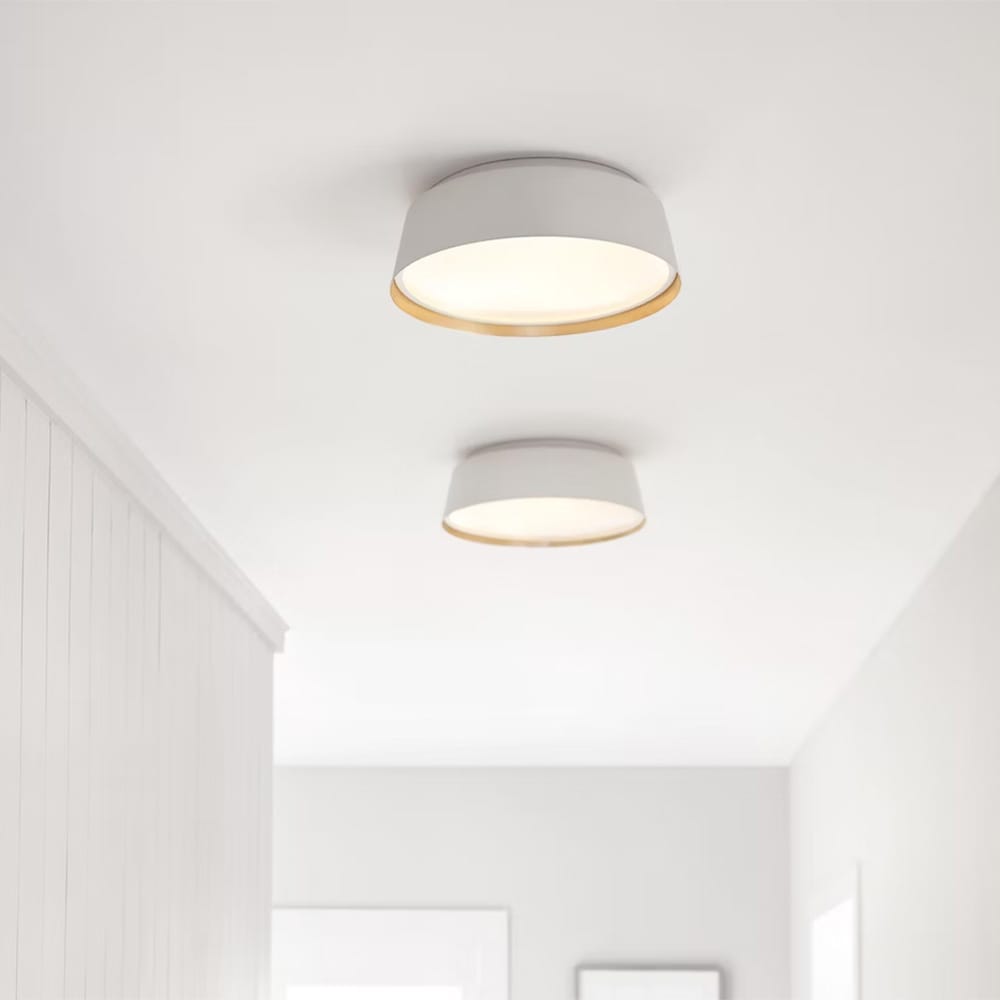 Interior Flush & Semi Flush Asher Medium Ceiling Light