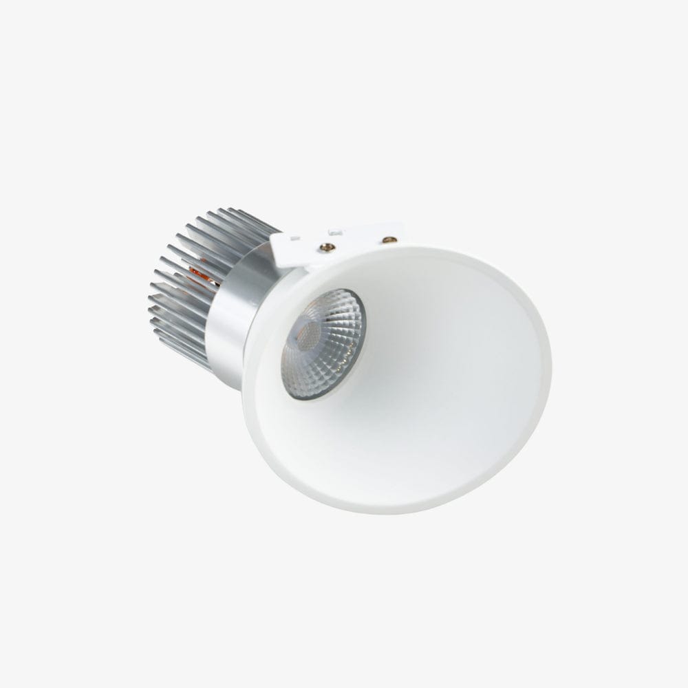 Recessed B240 Asymmetrical Down Light