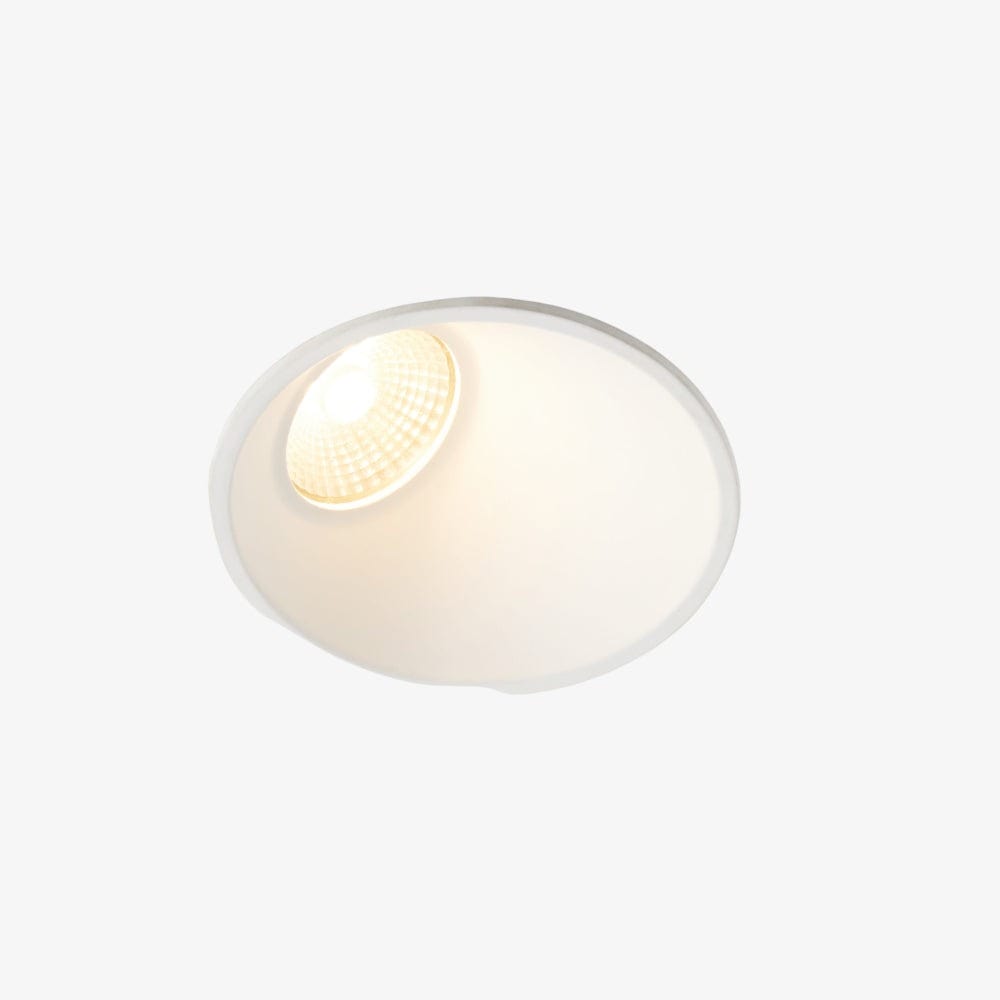 Recessed B240 Asymmetrical Down Light
