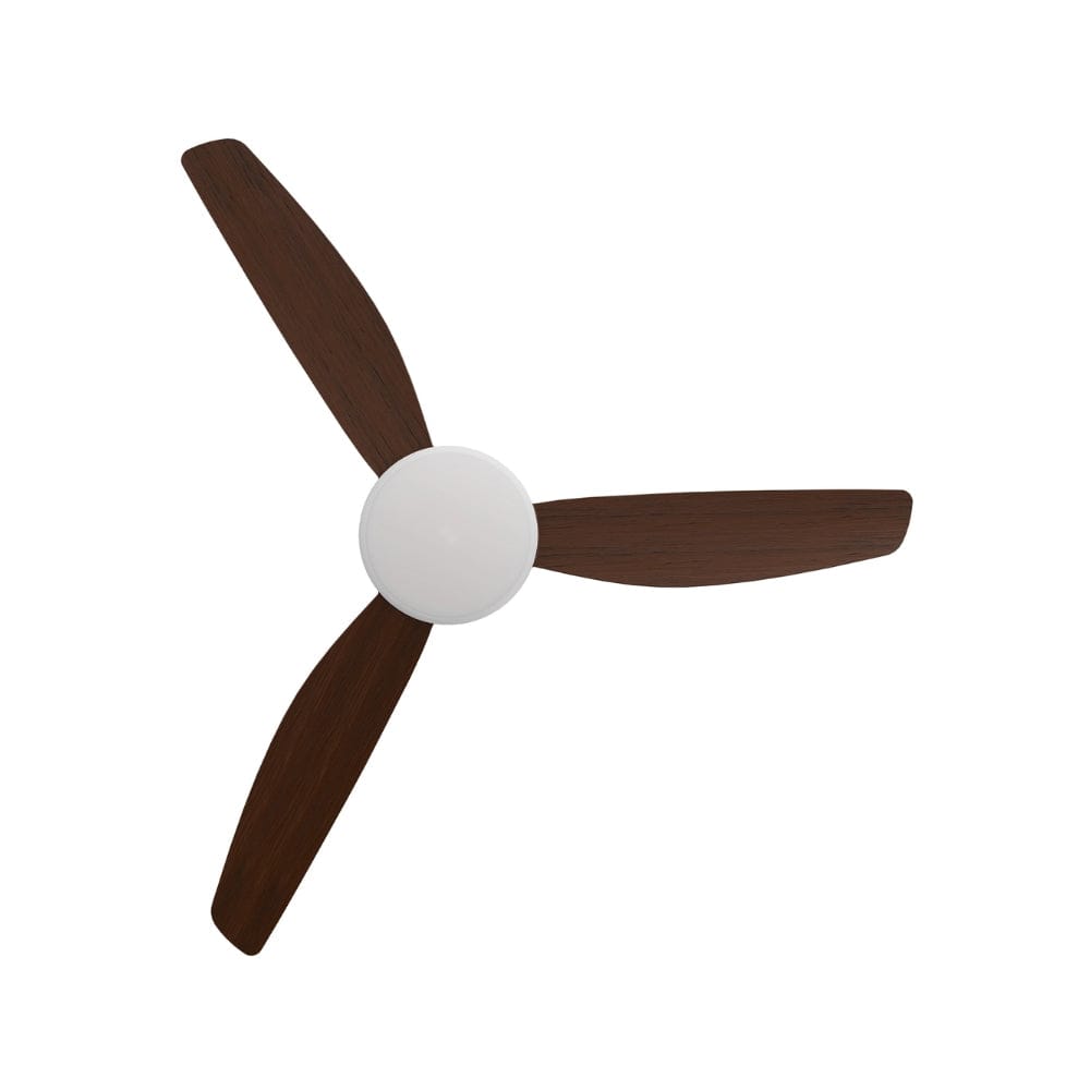 With Light Condor DC Ceiling Fan White with Koa Blades - With Light