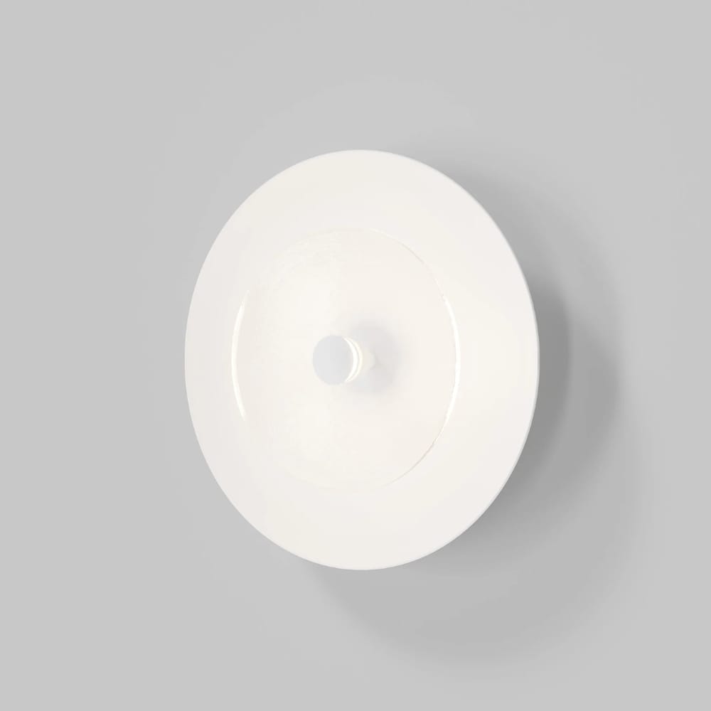 Exterior Wall Light Coral Dome Wall Light