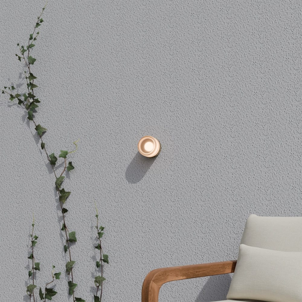 Interior Wall Light / Sconce Gull Wall Light