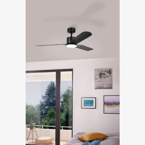 With Light Iluka Ceiling Fan Matte Black with Light