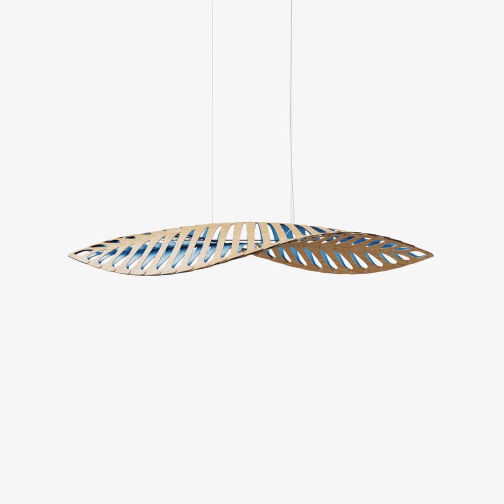 Interior Pendant Navicula Pendant
