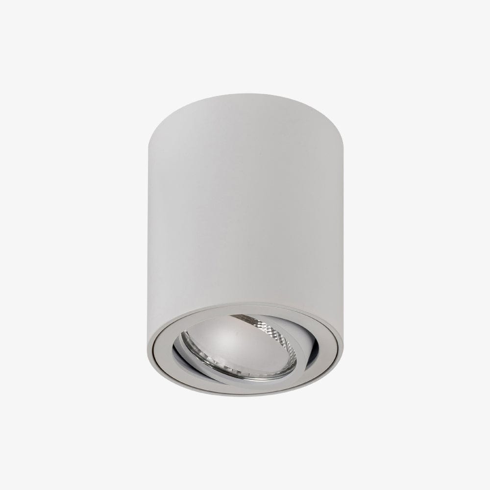 Surface Mounted Nella Adjustable Surface Mounted Downlight