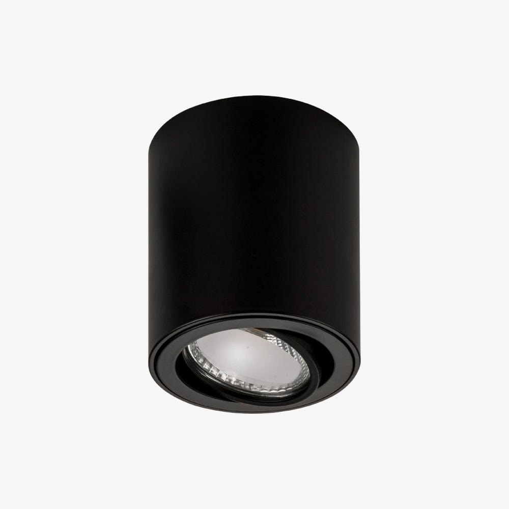 Surface Mounted Nella Adjustable Surface Mounted Downlight