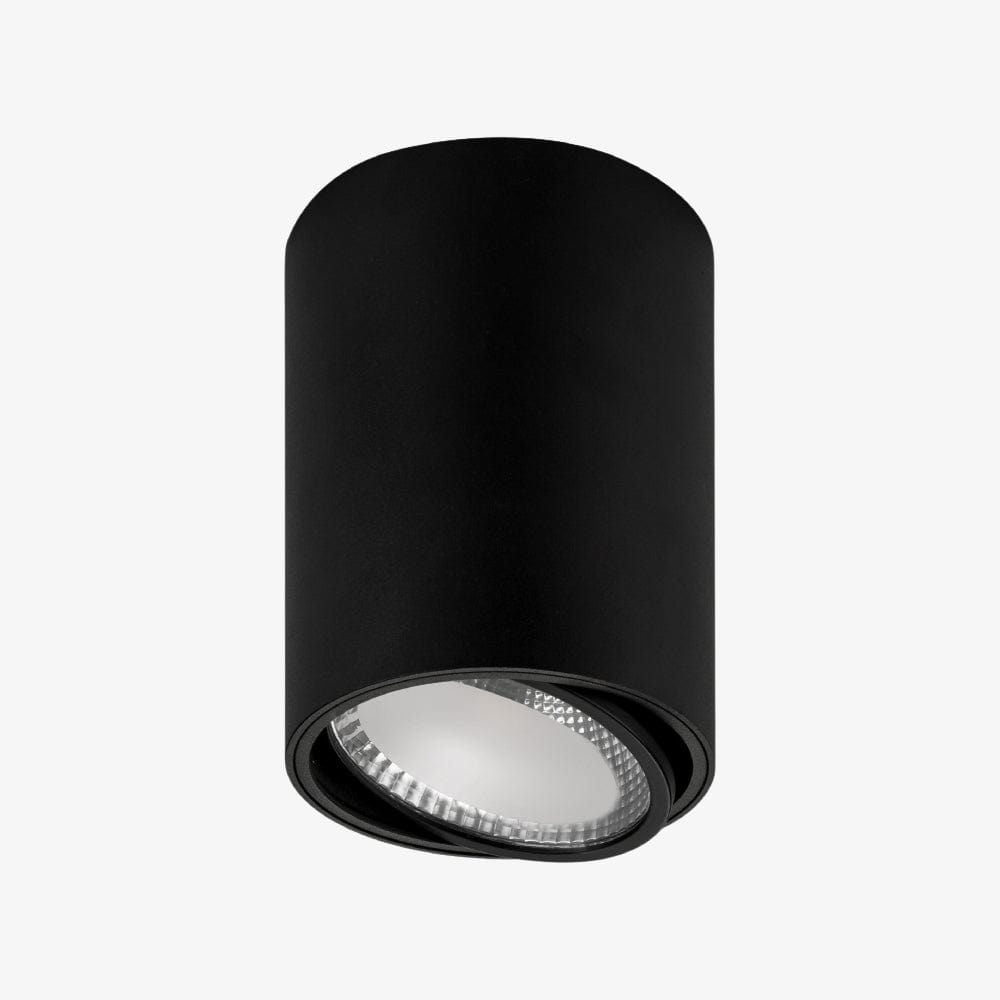 Surface Mounted Nella Adjustable Surface Mounted Downlight