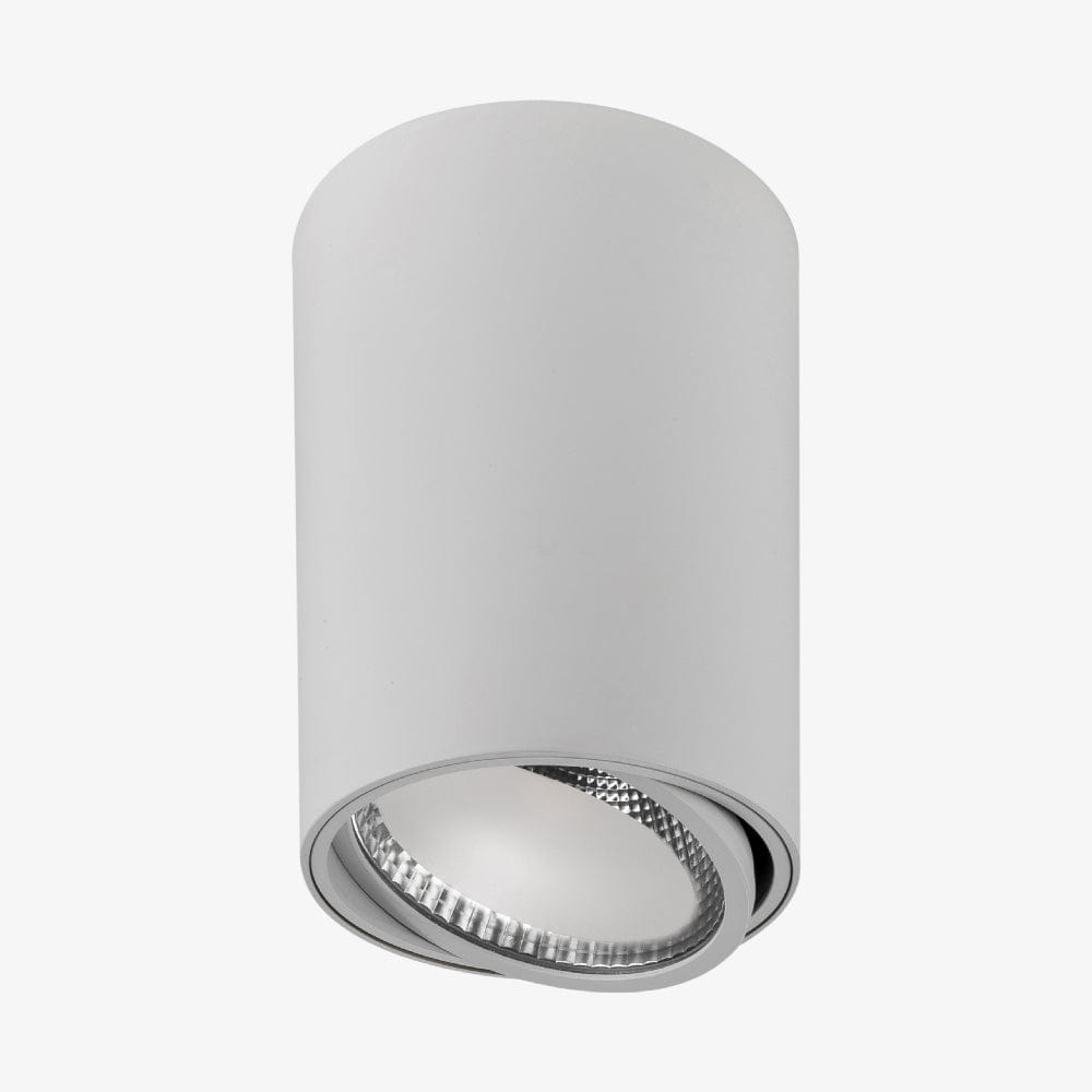 Surface Mounted Nella Adjustable Surface Mounted Downlight