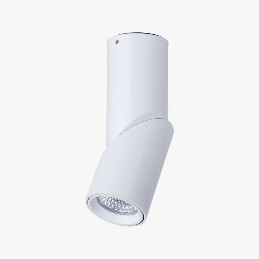 Surface Mounted Nella Rotatable Surface Mounted Downlight