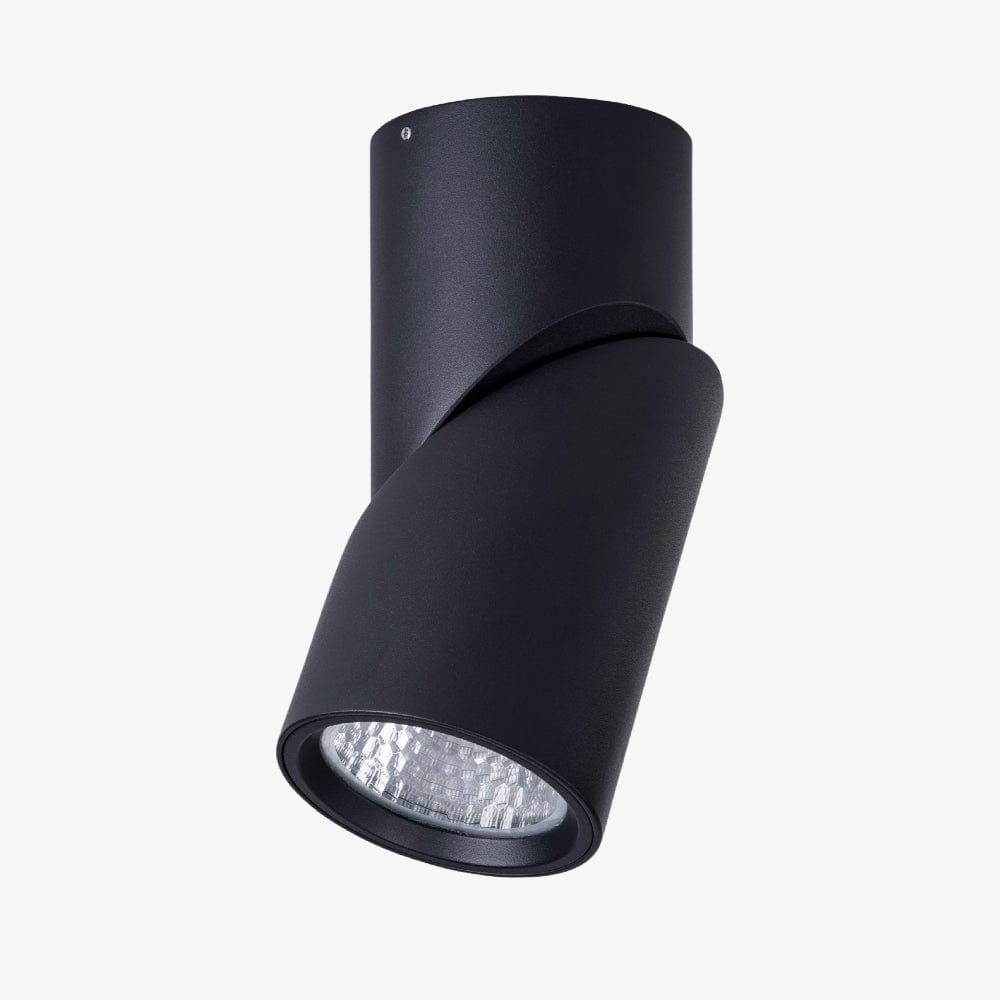Surface Mounted Nella Rotatable Surface Mounted Downlight