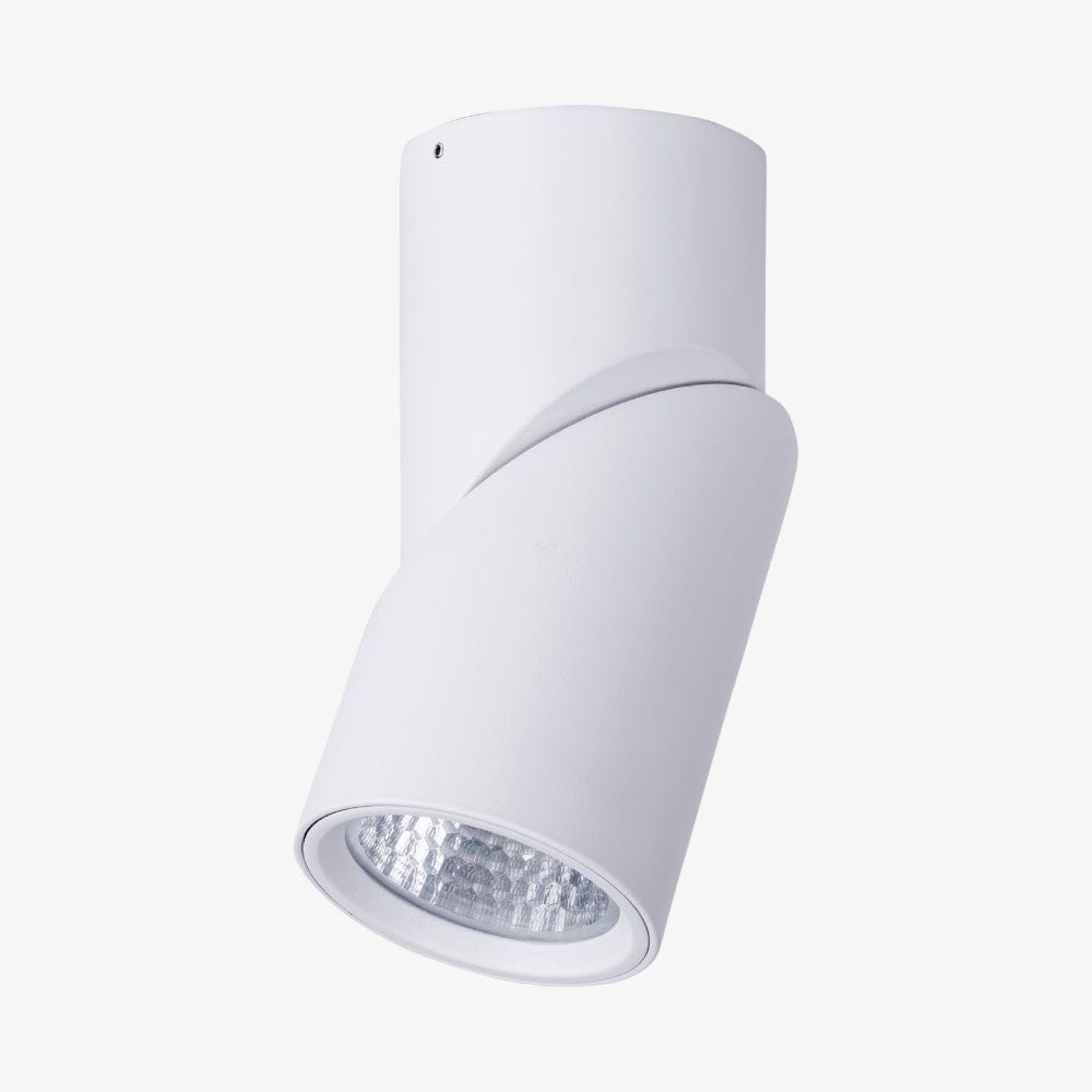 Surface Mounted Nella Rotatable Surface Mounted Downlight