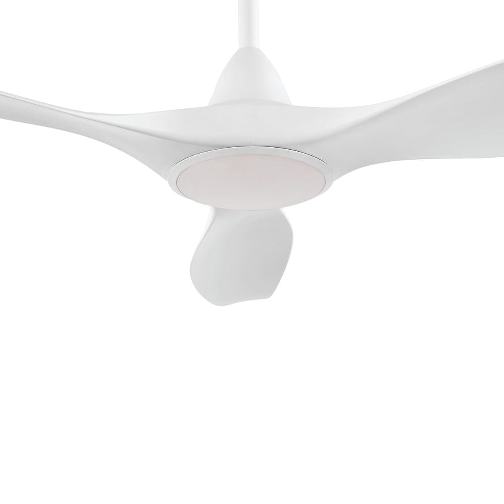 With Light Noosa Ceiling Fan Matte White with Light