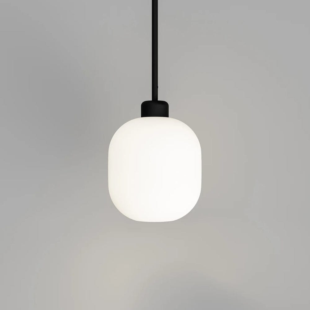 Interior Pendant Parlour Lite Curve Pendant Light