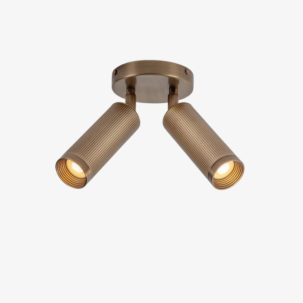 Interior Bar & Spot Spot Double Ceiling Light