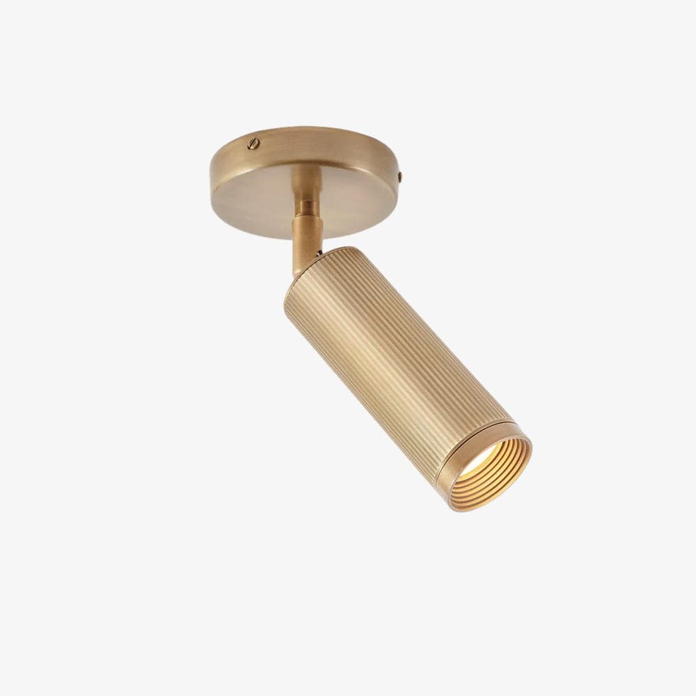 Interior Bar & Spot Spot Single Ceiling Light