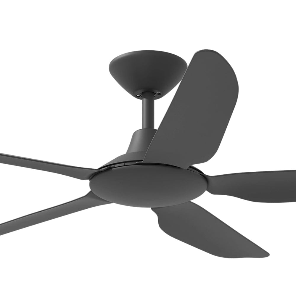 Without Light Storm Ceiling Fan Black