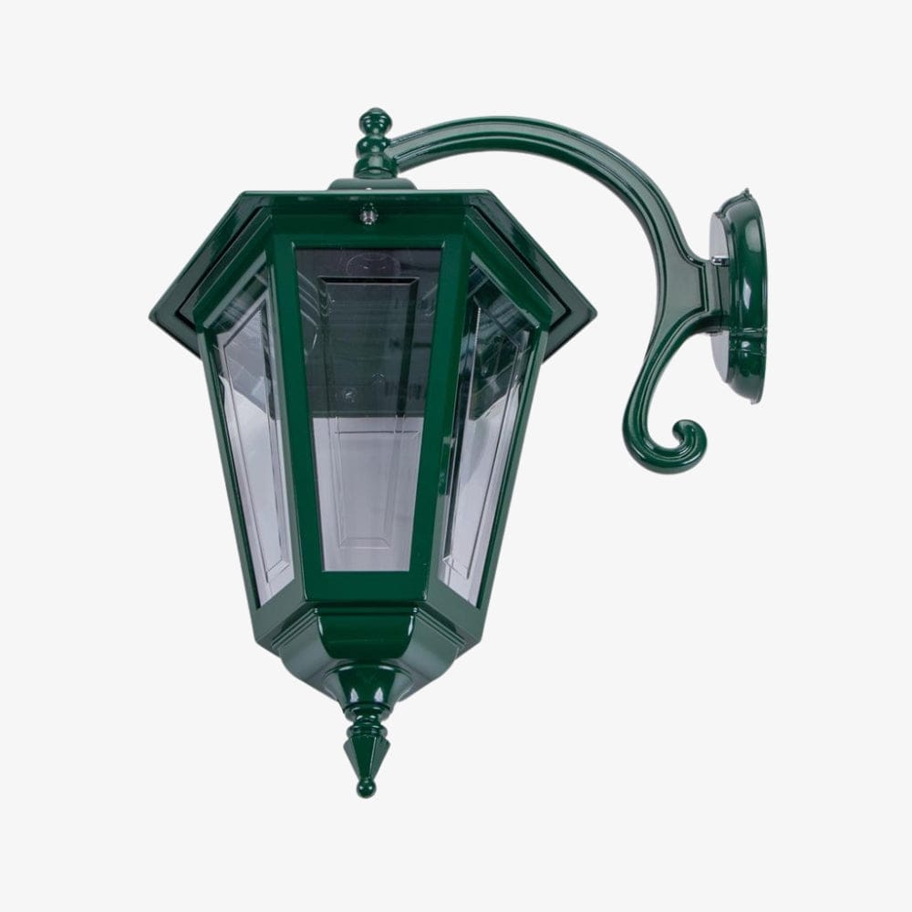 Exterior Wall Light Turin Large Down Curved Wall Bracket