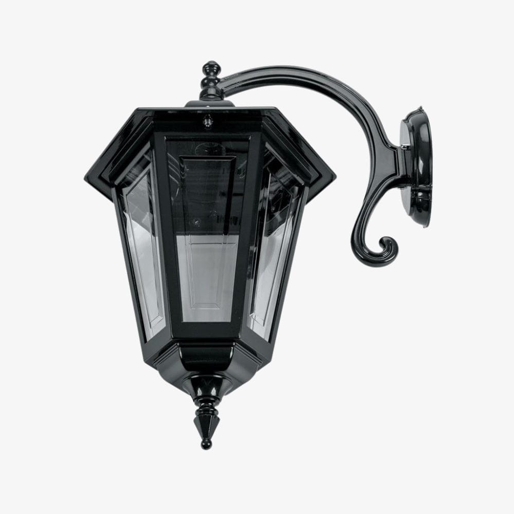 Exterior Wall Light Turin Large Down Curved Wall Bracket