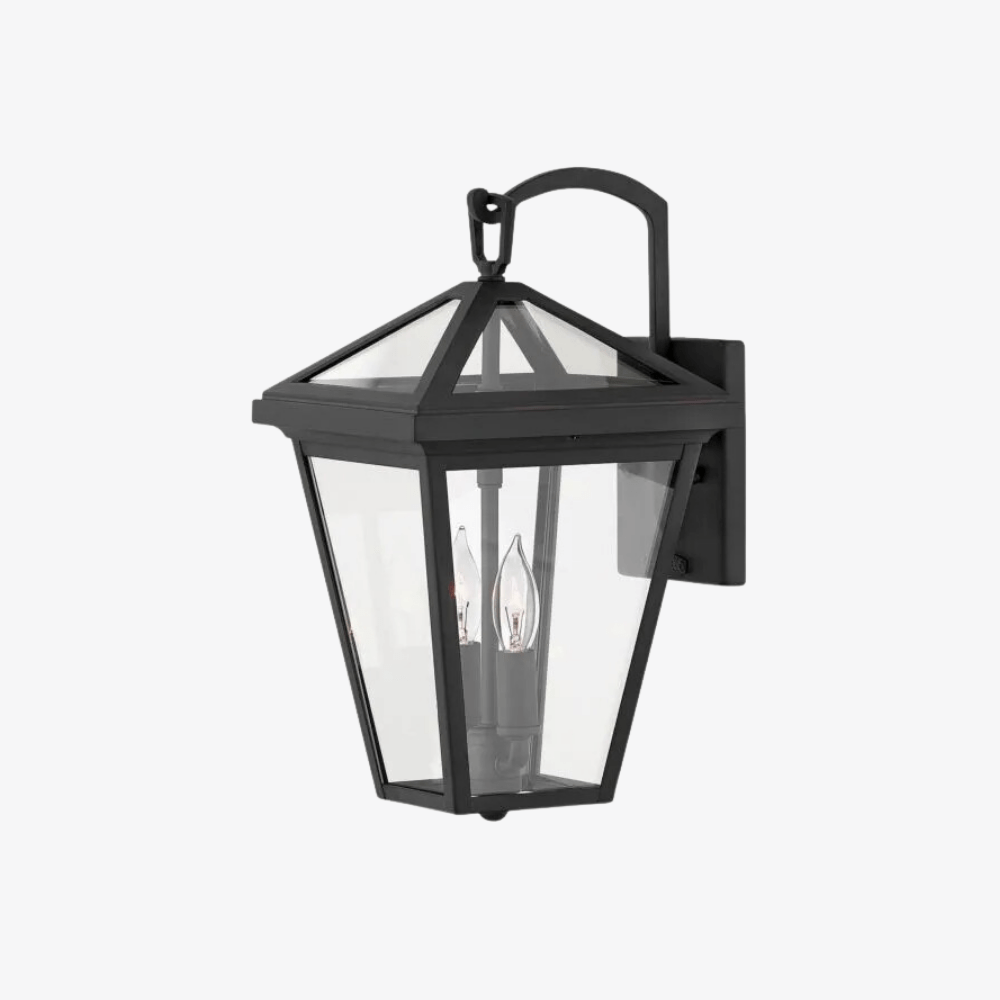 Exterior Wall Light / Alford Place Small Wall Mount Lantern in Museum Black