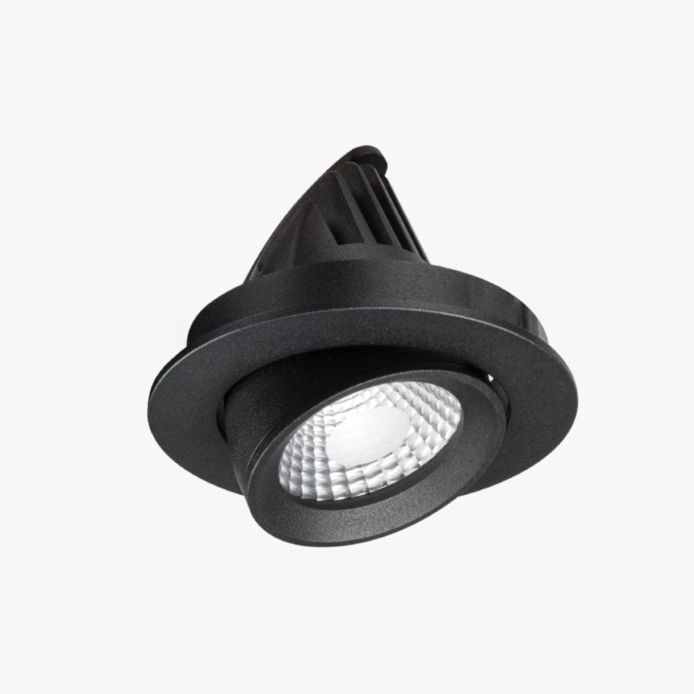 Recessed Apex Adjustable Down Light