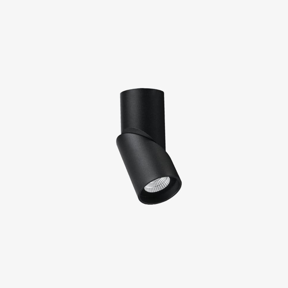 Surface Mounted Axis Surface Mounted Down Light
