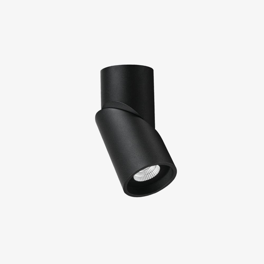 Surface Mounted Axis Surface Mounted Down Light