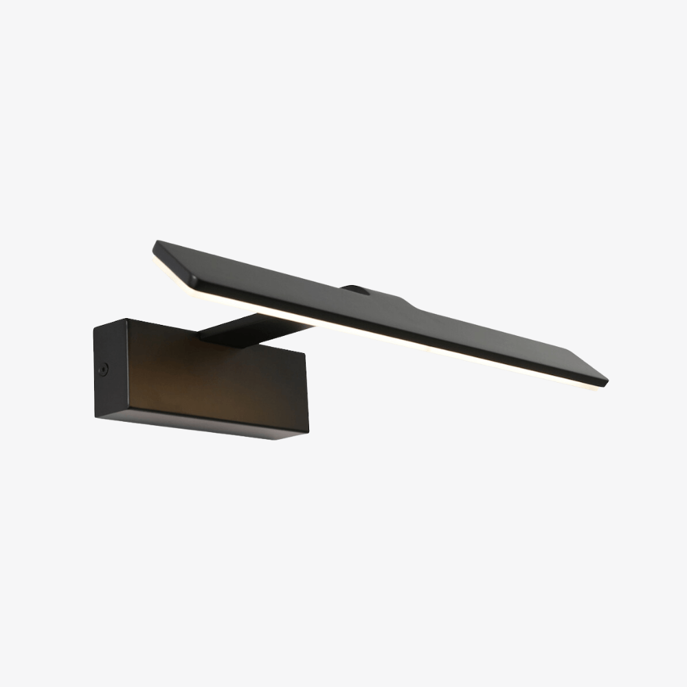 Interior Wall Light / Sconce Dex Picture Wall Light