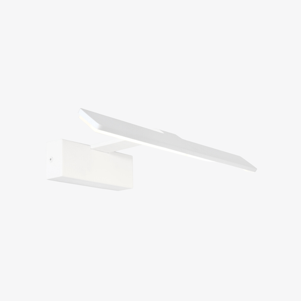 Interior Wall Light / Sconce Dex Picture Wall Light