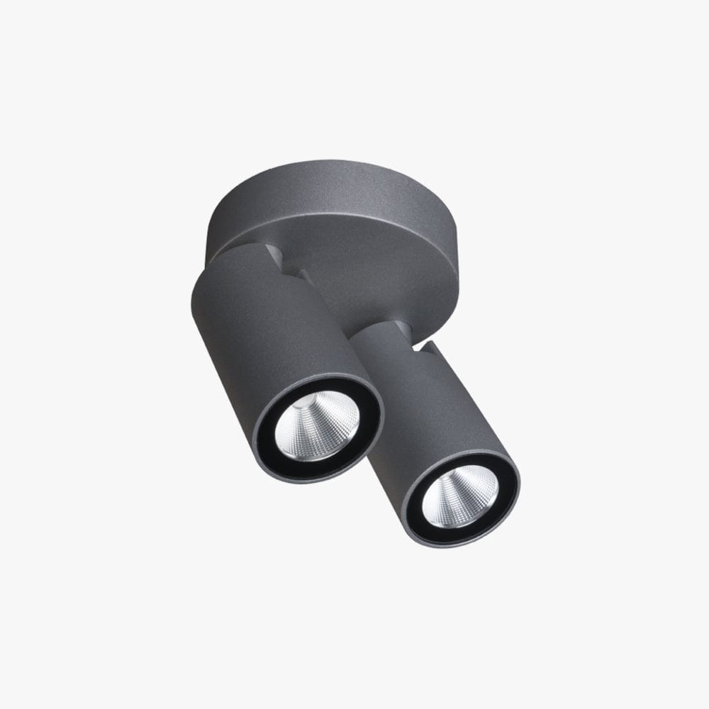 Bar & Spot Onyx 2 Light Spotlight