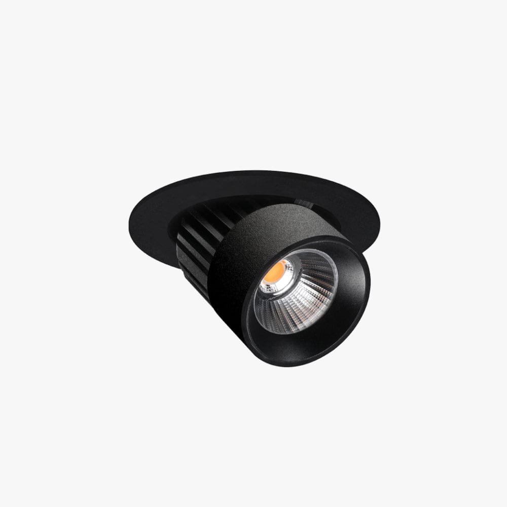 Recessed Switch Down Light
