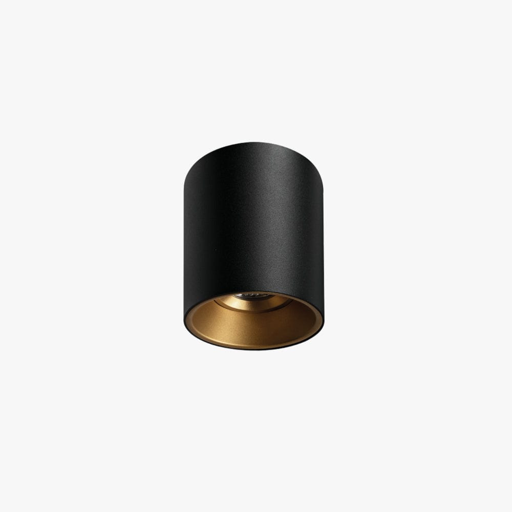 Surface Mounted Titanium Medium Surface Mounted Down Light