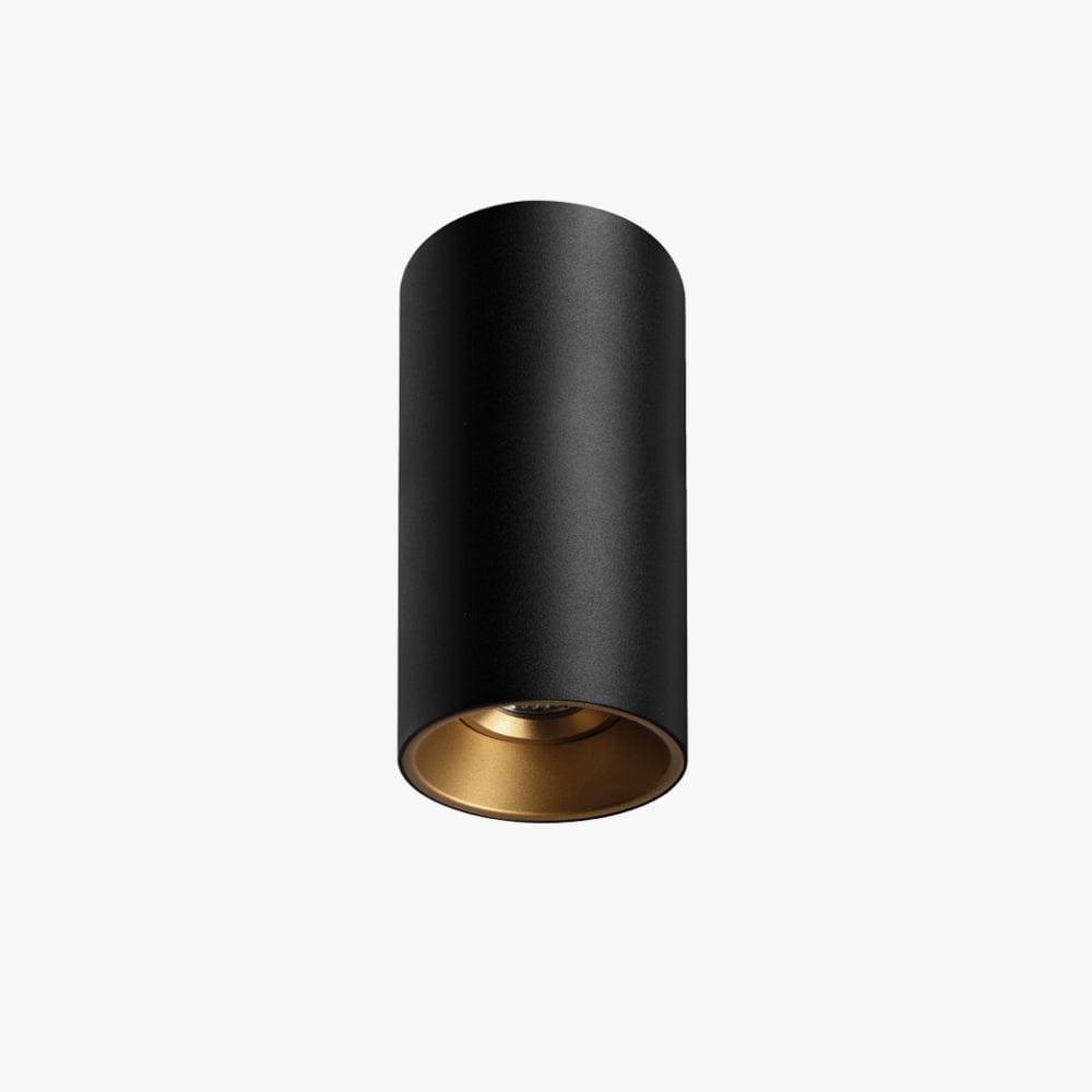 Surface Mounted Titanium Medium Surface Mounted Down Light