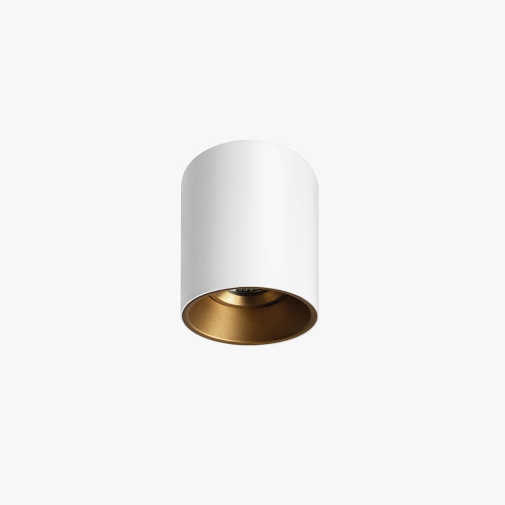 Surface Mounted Titanium Medium Surface Mounted Down Light