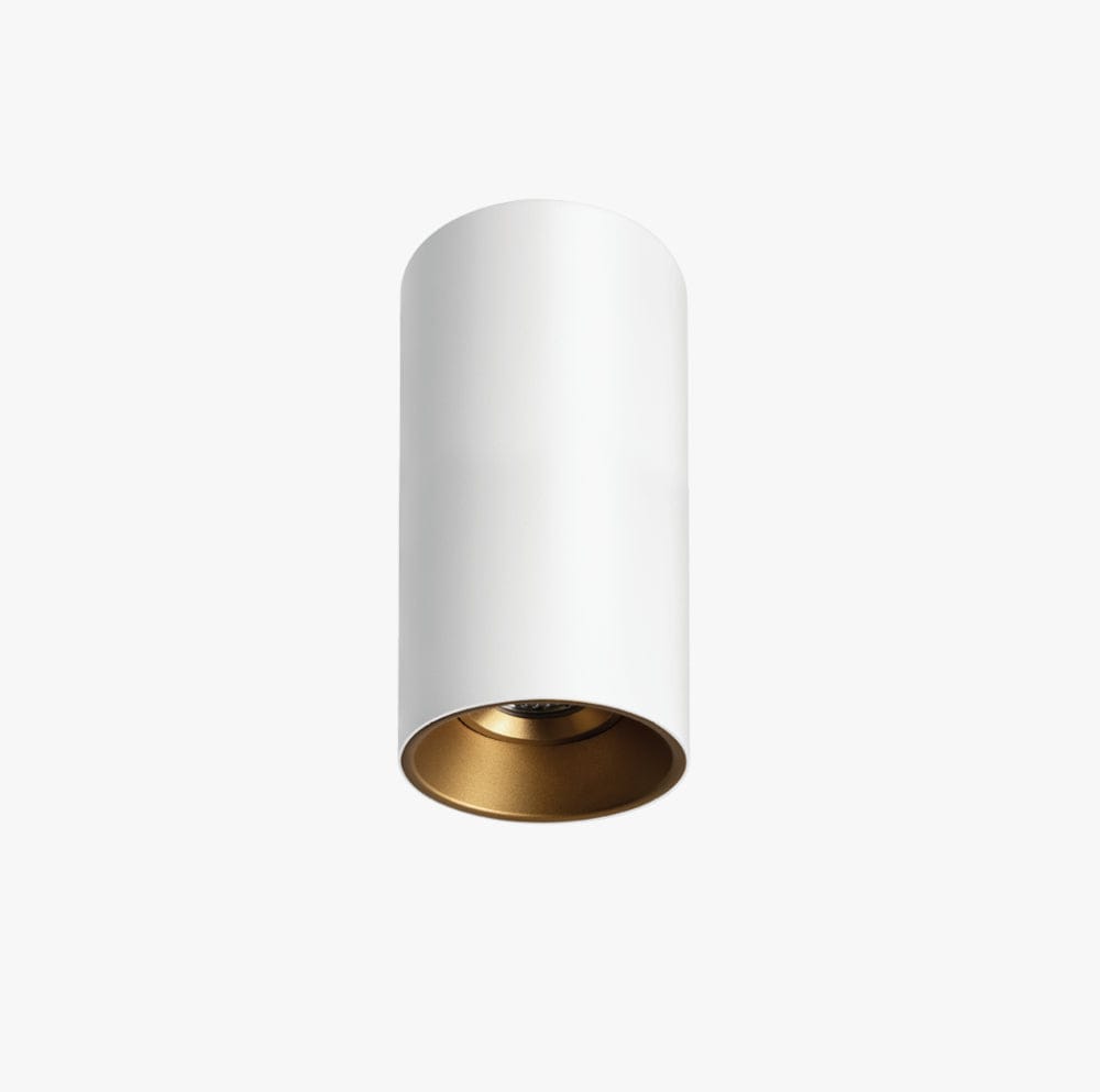 Surface Mounted Titanium Medium Surface Mounted Down Light