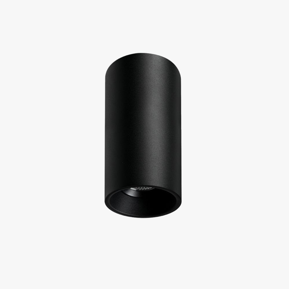 Surface Mounted Titanium Medium Surface Mounted Down Light