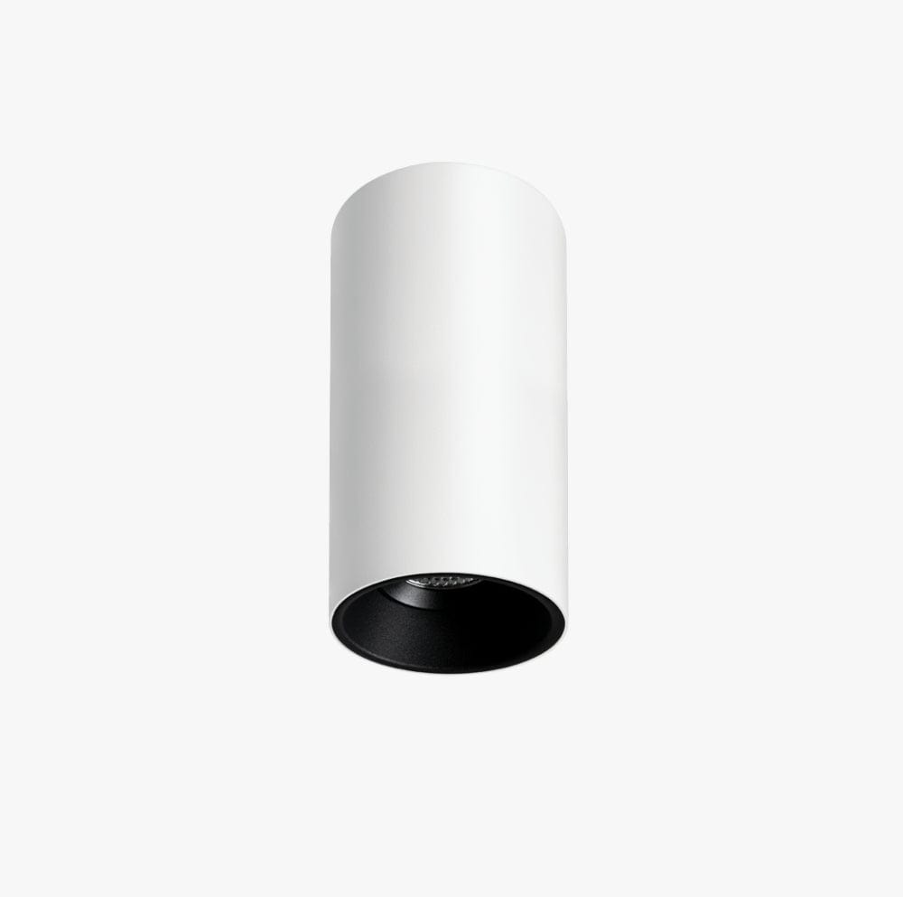 Surface Mounted Titanium Medium Surface Mounted Down Light