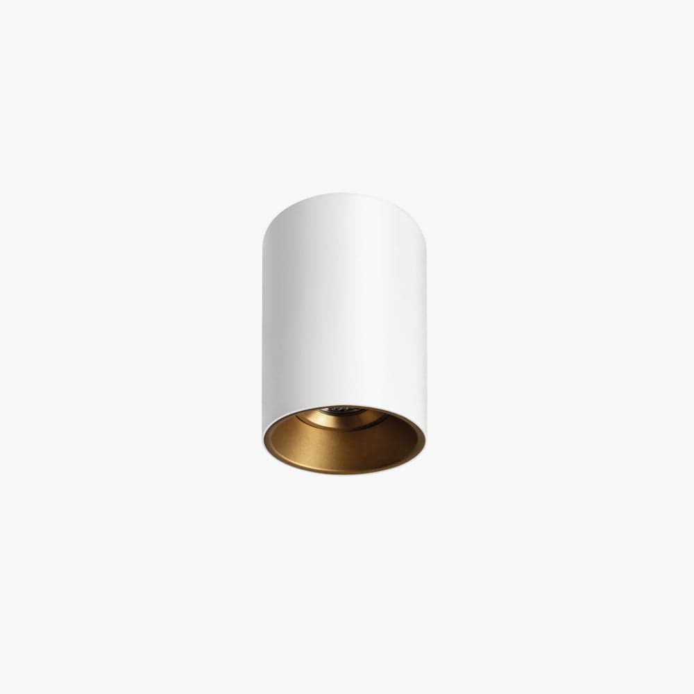 Surface Mounted Titanium Small Surface Mounted Down Light