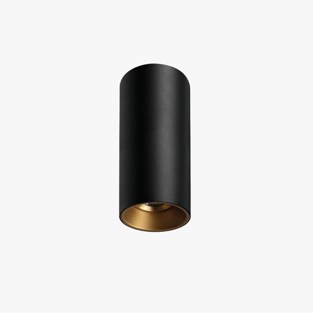 Surface Mounted Titanium Small Surface Mounted Down Light