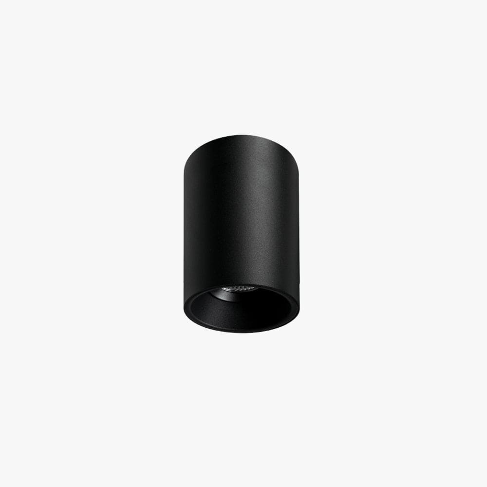 Surface Mounted Titanium Small Surface Mounted Down Light