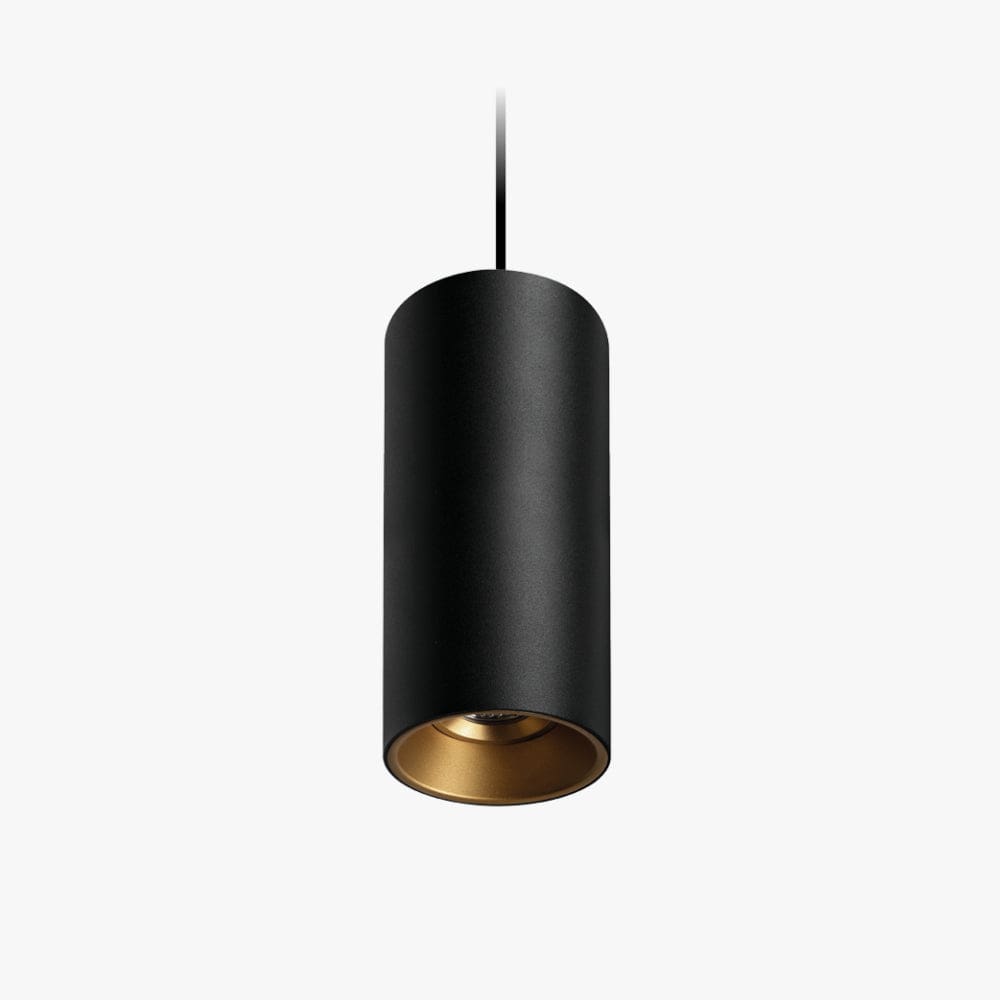Interior Pendant Titanium Suspended Downlight