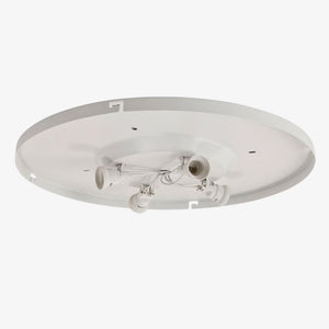 Interior Flush & Semi Flush 4-Way Plate Ceiling Light