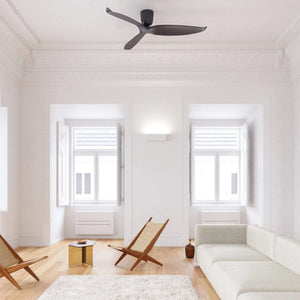 Without Light AE3+ Ceiling Fan Black