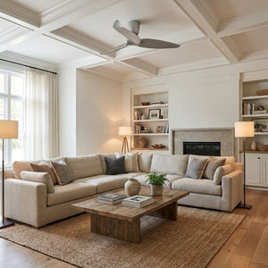 Without Light AE3+ Ceiling Fan Silver