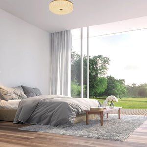 Interior Flush & Semi Flush Allure Ceiling Light