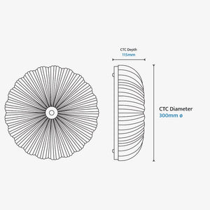 Interior Flush & Semi Flush Allure Ceiling Light