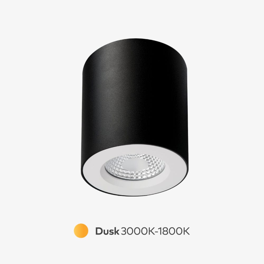 Surface Mounted Apex Dusk Surface Mounted Down Light